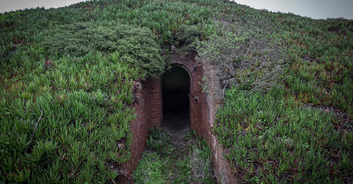 third_section_image_data.image_alt