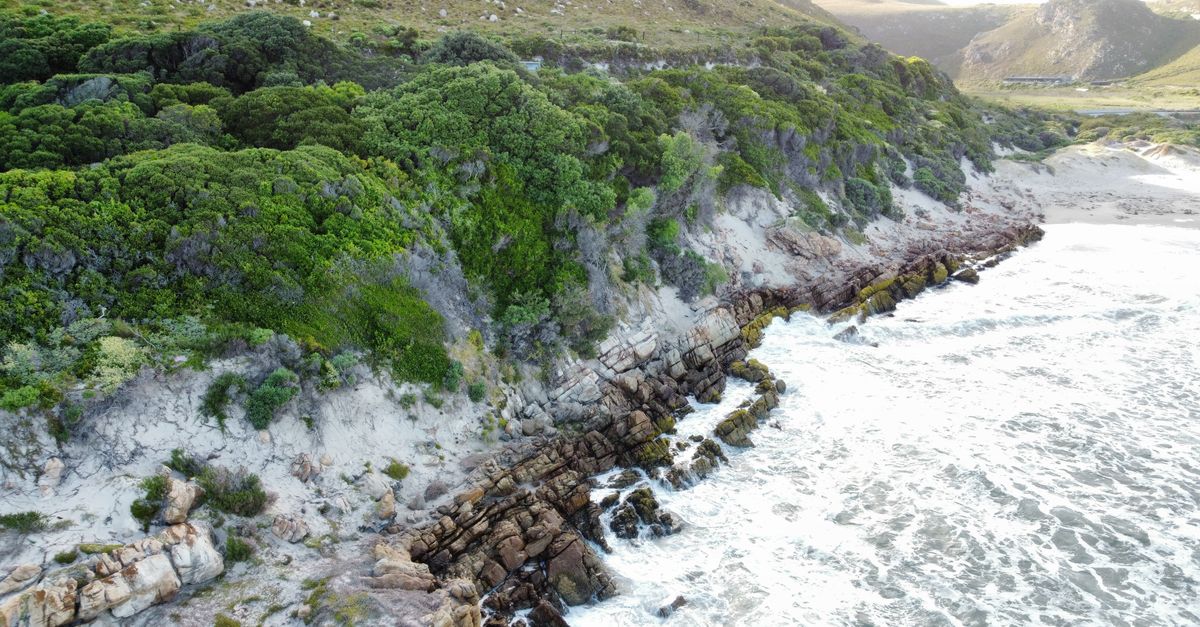 Aerial view of a rugged coastline with lush greenery and waves crashing against rocks.