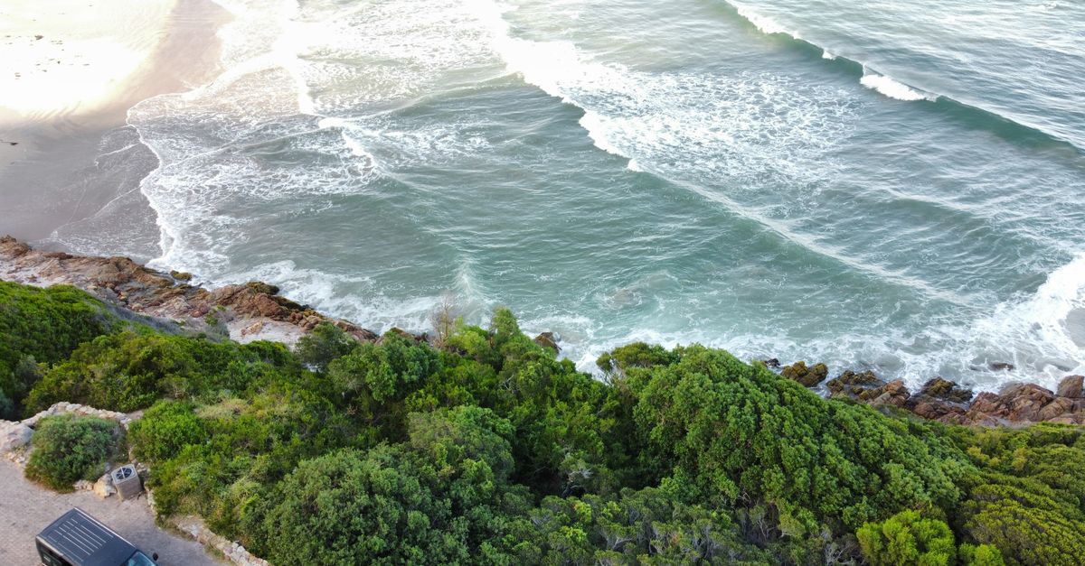Aerial shot of ocean waves meeting the rocky coastline and lush greenery, perfect for nature and travel themes.
