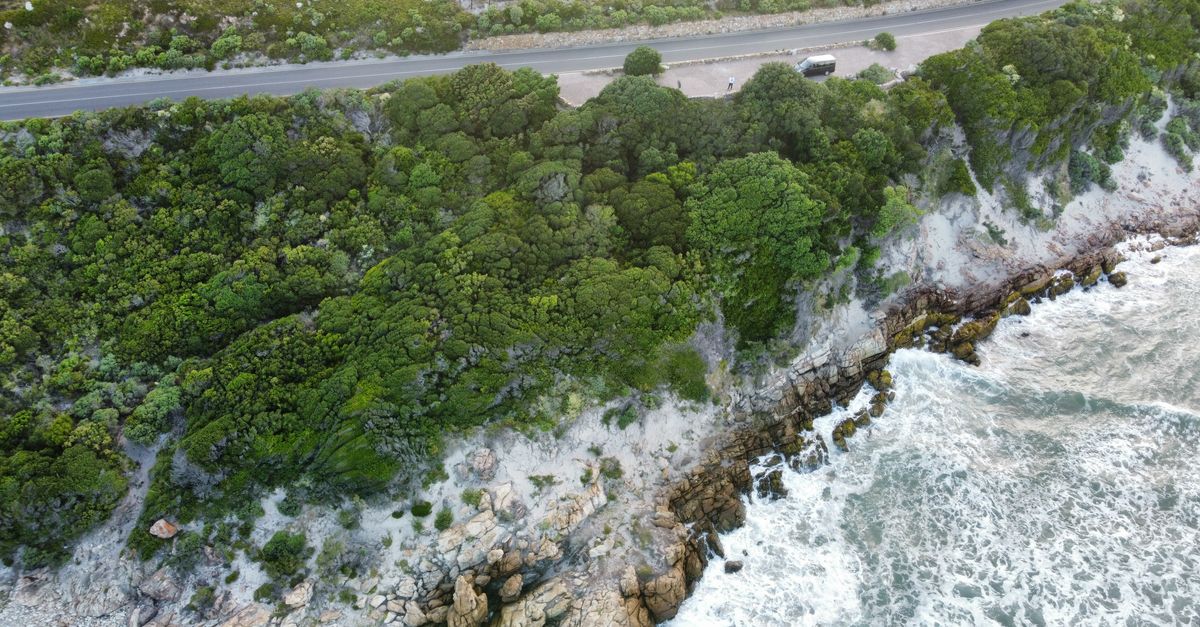 A spectacular aerial view of a rocky coastline meeting lush greenery.