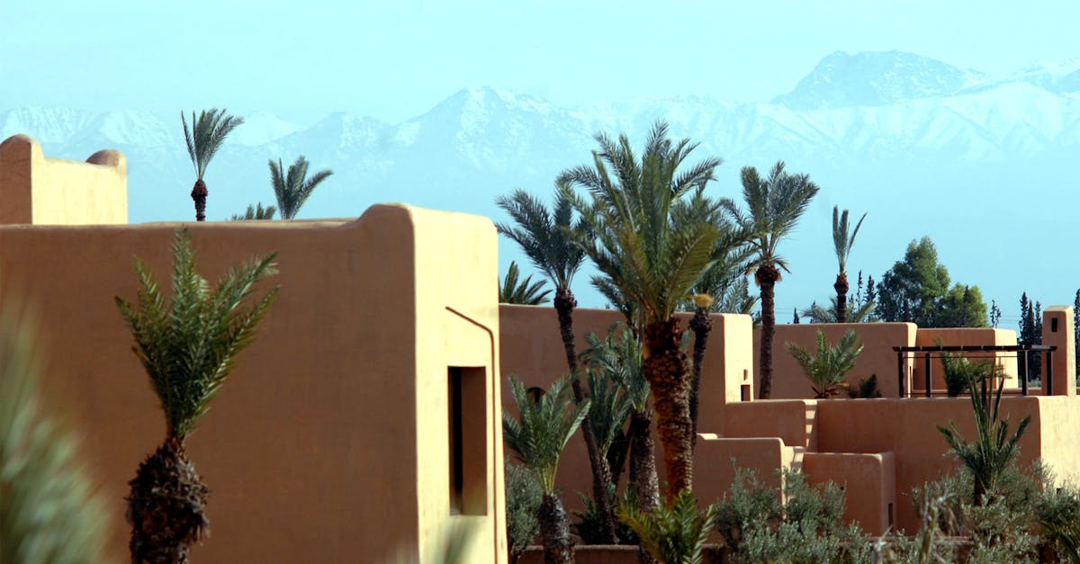 Traditional architecture in Marrakech with palm trees and mountains.