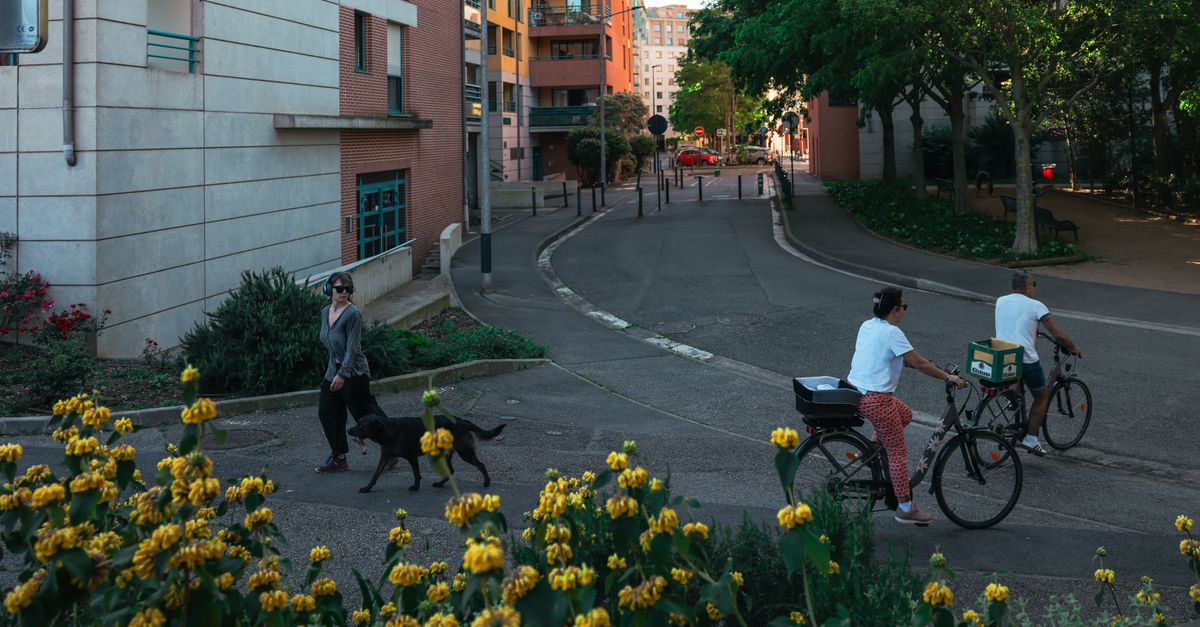 Street scene in Toulouse, France, featuring cyclists, a pedestrian, buildings, and flora.