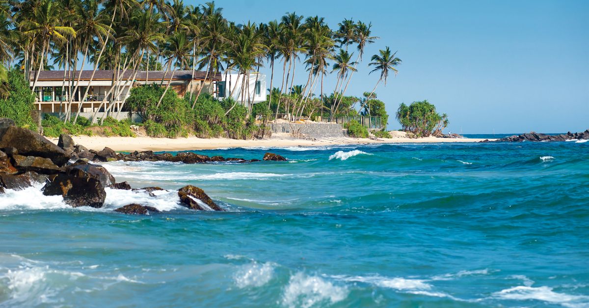 Serene Sri Lankan beach with palm trees and turquoise ocean waves.