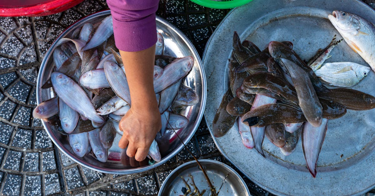 Colorful fish display at a market with a vendor's hand arranging them.