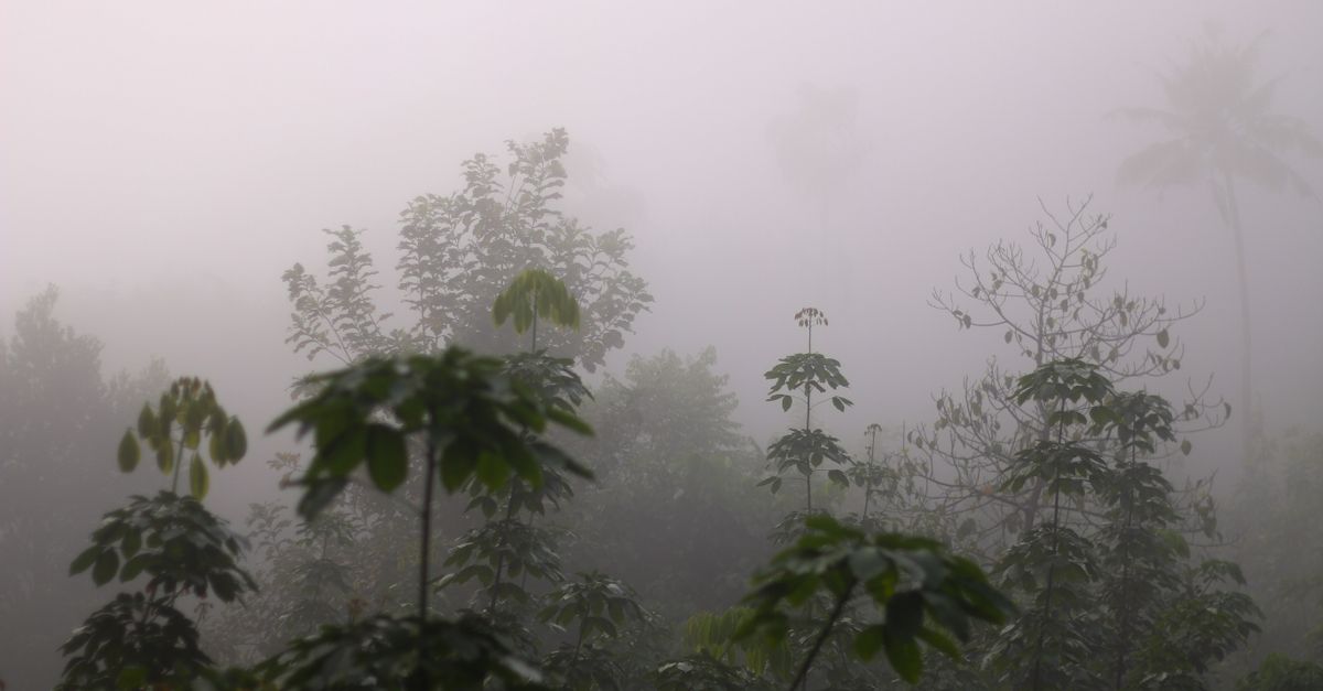 third_section_image_data.image_alt