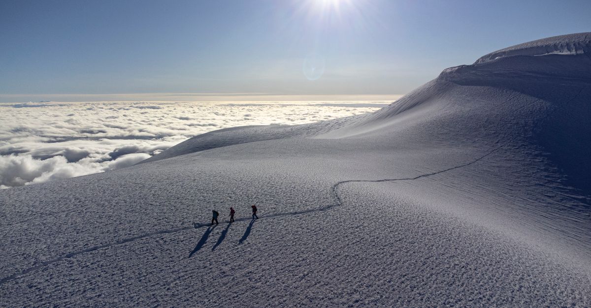 A group of hikers ascend the snow-covered slopes of Chimborazo Volcano under a bright sun.