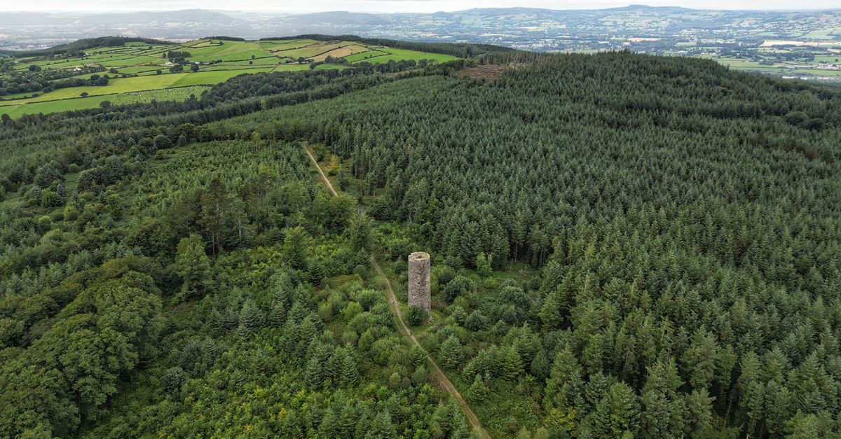 Drone aerial photo of lush green forest and countryside in Ireland with tower.