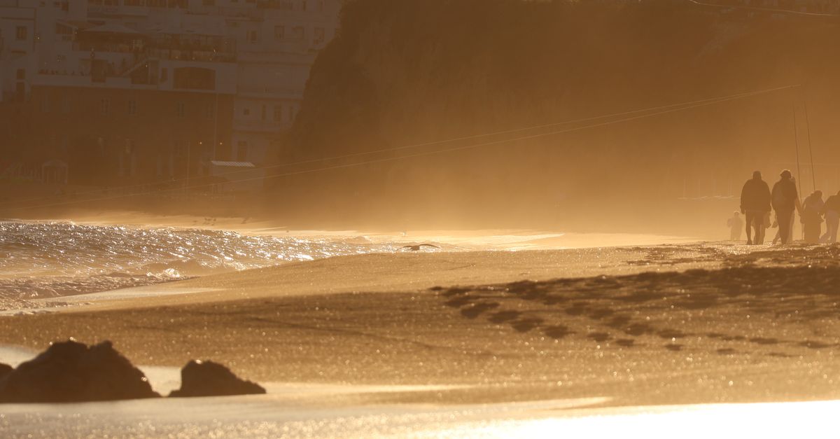 Silhouetted figures walk along a golden sandy beach during sunset, creating a serene and warm atmosphere.
