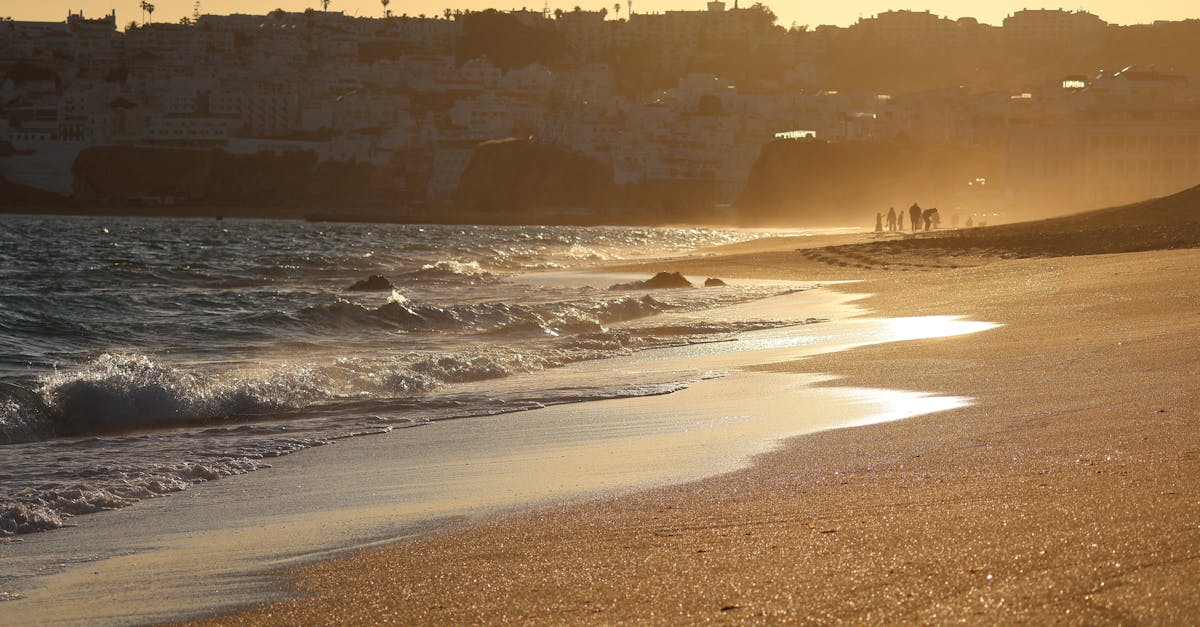 A serene beach scene at sunset with silhouettes and gentle waves.