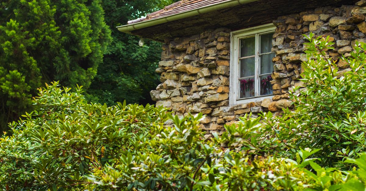 A rustic stone cottage nestled among lush greenery in a serene park in Ludwigsburg.