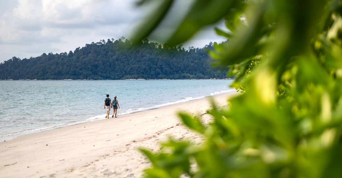 Two people walking on a sandy beach with lush greenery in Malaysia, offering a serene and scenic view.