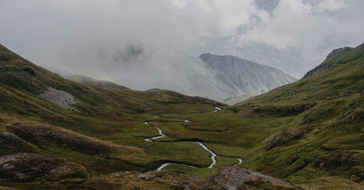 third_section_image_data.image_alt