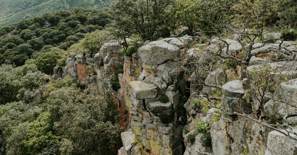 A breathtaking view of a rugged mountain cliff surrounded by dense green forest, perfect for nature lovers and adventurers.
