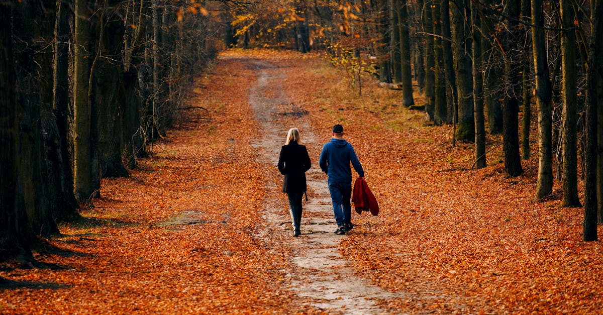 A couple walks along a leaf-covered forest path during a vibrant autumn day.