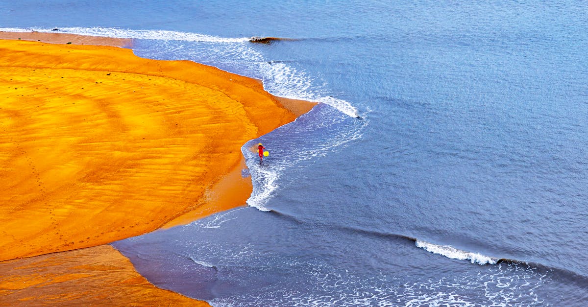 A dynamic aerial view of a person walking along a vibrant beach contrasting with the ocean.