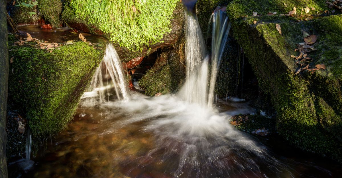 A peaceful waterfall flows over moss-covered rocks in a lush forest setting.