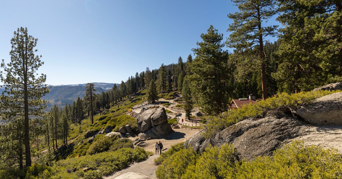 Explore the natural beauty of Yosemite National Park on a clear fall day with towering pine trees and stunning landscapes.