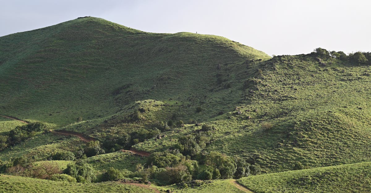 Explore the verdant hills and scenic landscapes of Madikeri, Karnataka, offering breathtaking views of nature's beauty.