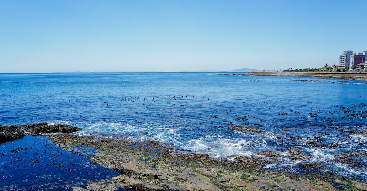 third_section_image_data.image_alt