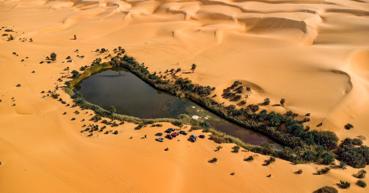 A stunning aerial view of an oasis surrounded by vast desert sand dunes.
