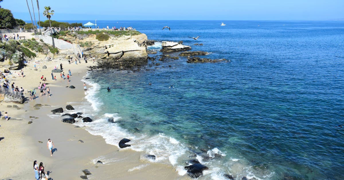 A sunny day at La Jolla Cove, California, bustling with beachgoers and vibrant sea life.