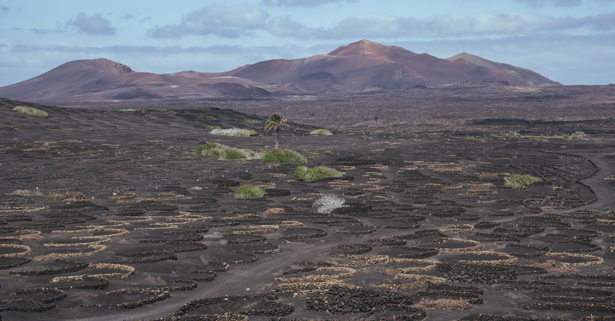 third_section_image_data.image_alt
