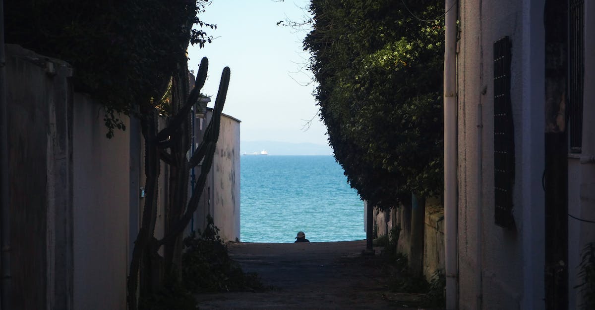 A narrow alleyway opens up to a bright blue ocean view, framed by vegetation.