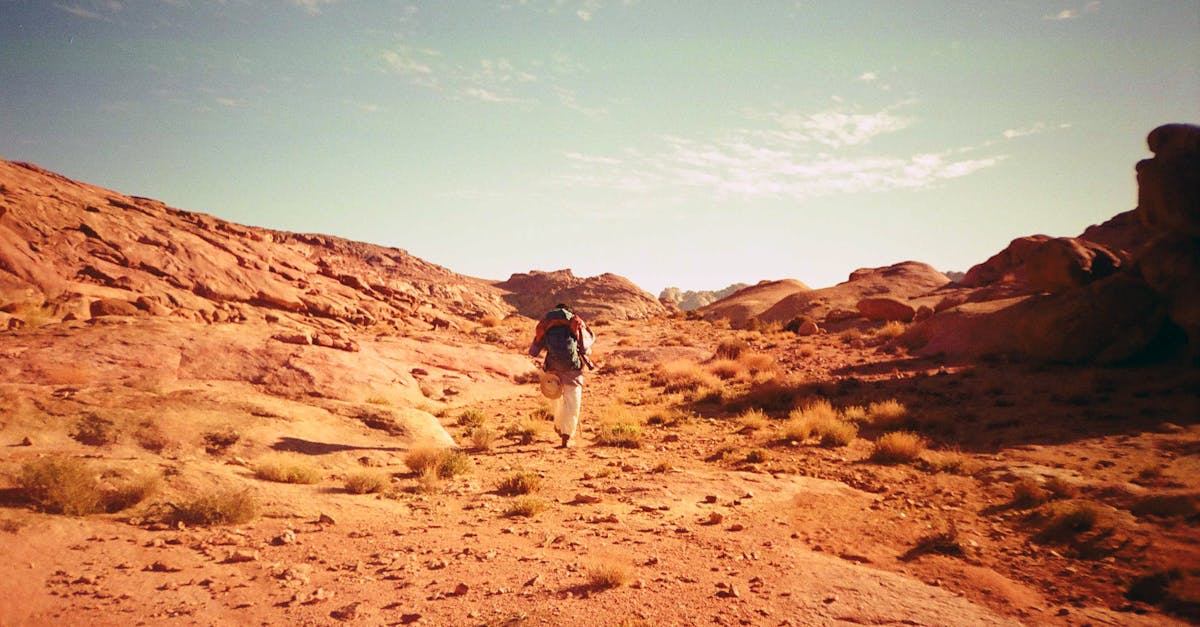 A lone hiker traversing a picturesque desert landscape under a bright sky.