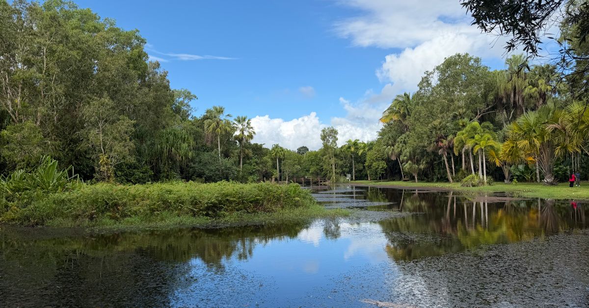 Calm water reflects lush greenery under a bright blue sky in this serene Cairns lagoon.
