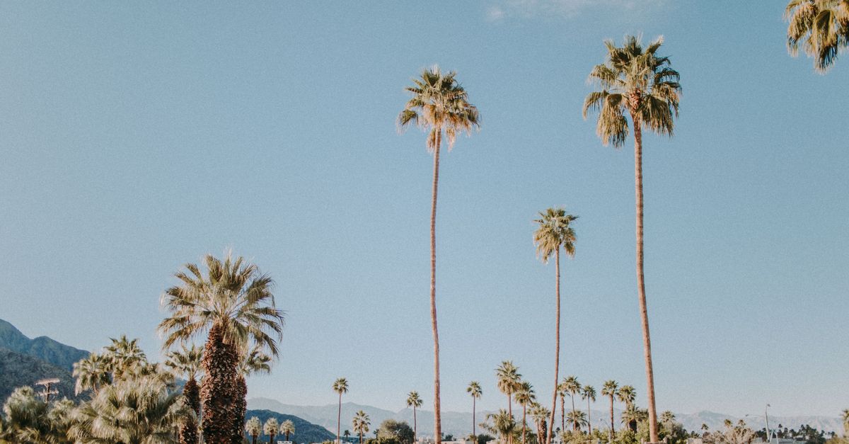 Picturesque view of Palm Springs featuring tall palm trees under a clear blue sky.
