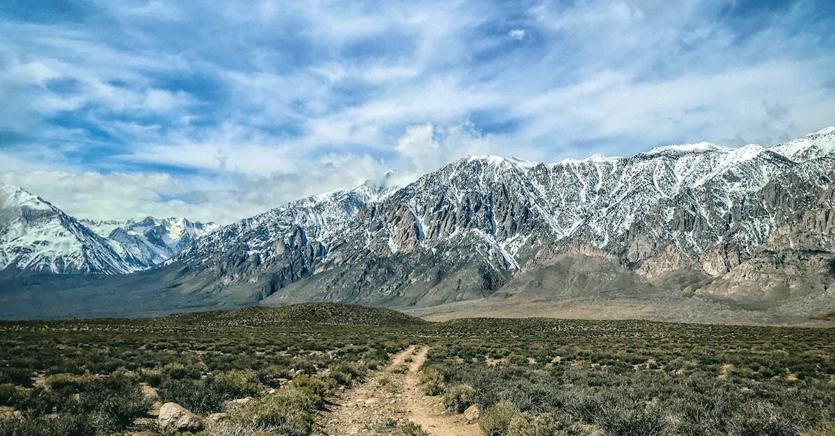 third_section_image_data.image_alt