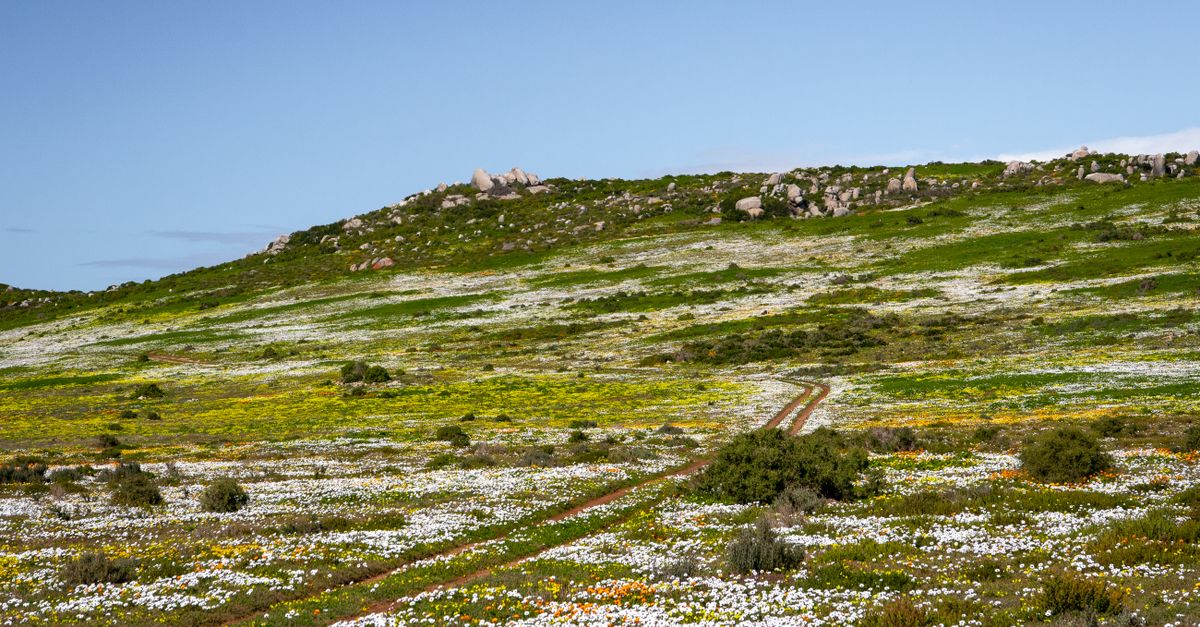 third_section_image_data.image_alt