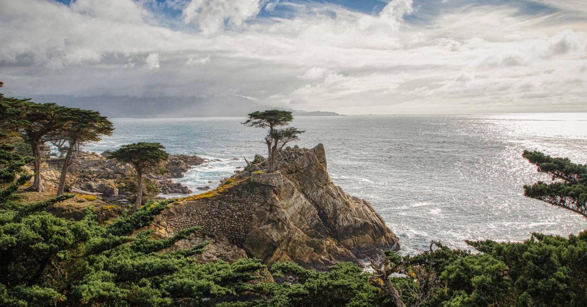 Breathtaking view of Lone Cypress in Del Monte Forest, CA, along the rocky coastline.