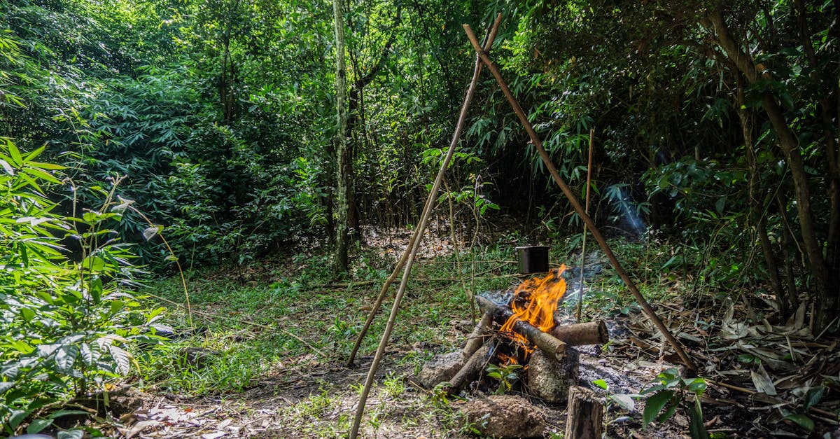 third_section_image_data.image_alt
