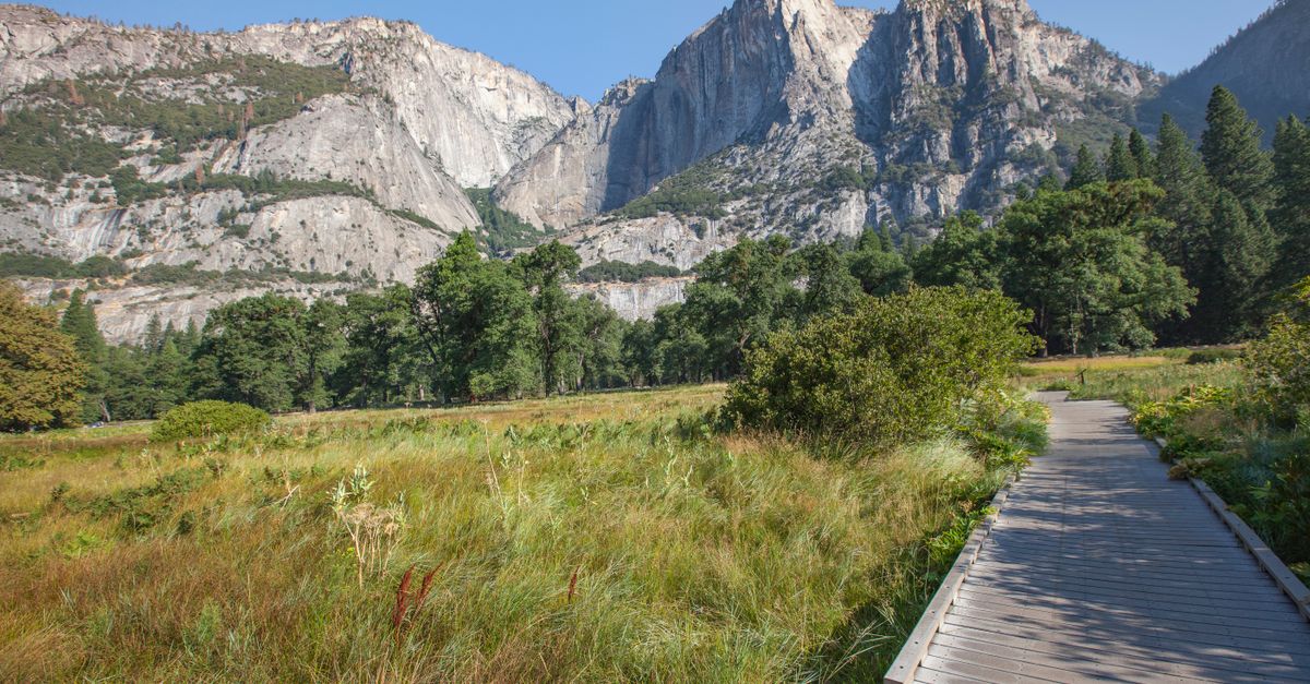 Beautiful view of Yosemite National Park with mountains and a wooden pathway.