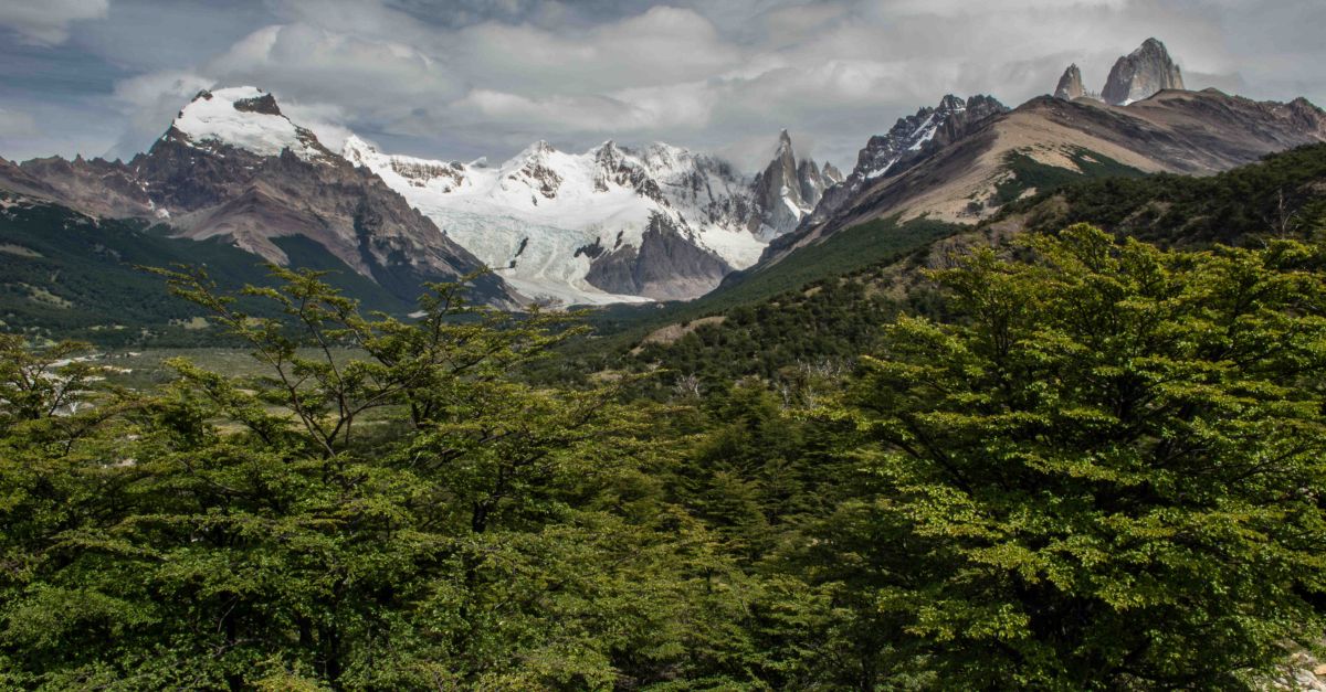 A breathtaking view of Patagonian mountains and forests in Argentina's Santa Cruz.