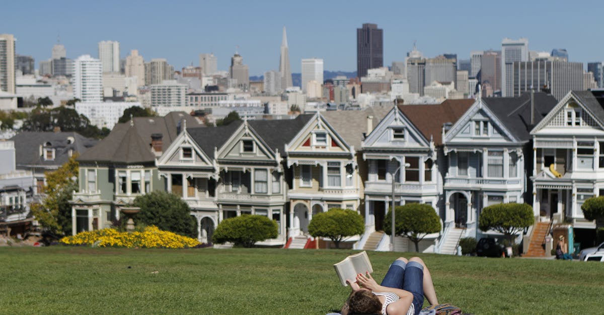 A woman reads in a park with San Francisco's iconic skyline and Painted Ladies in the background.