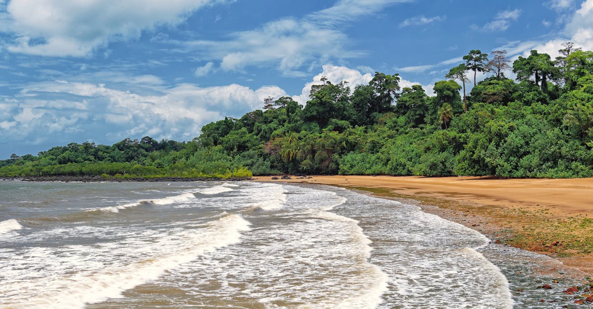 Scenic view of a tropical beach with lush green forest under a blue sky.