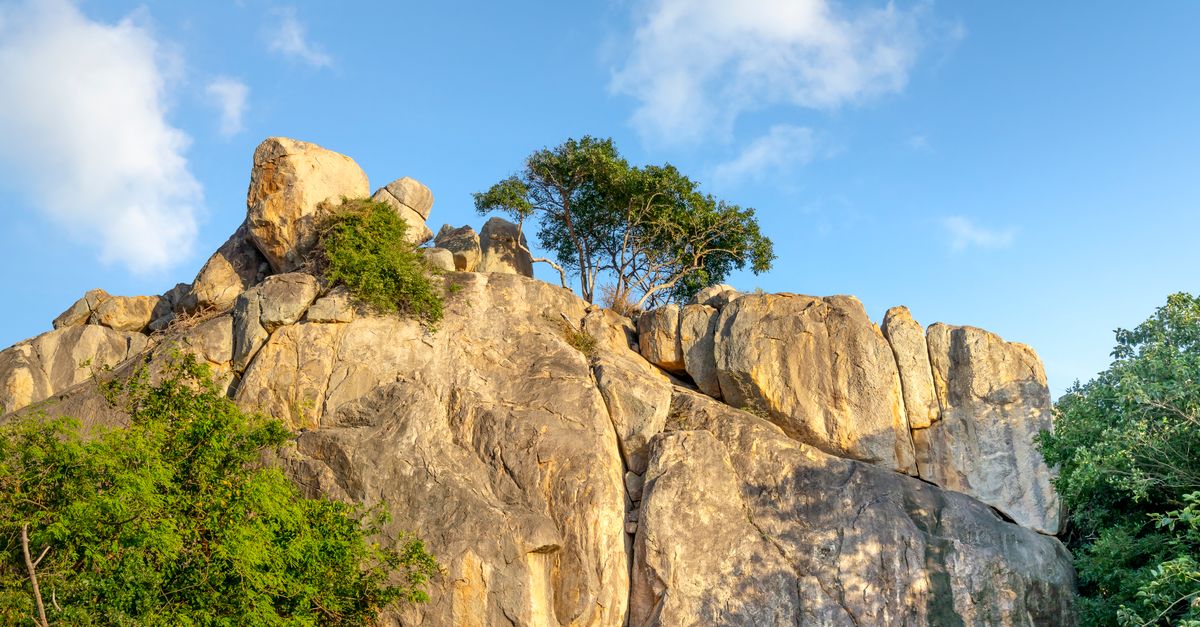From below of rough massive rocky cliff with green trees growing on top in mountainous valley against blue sky on sunny day