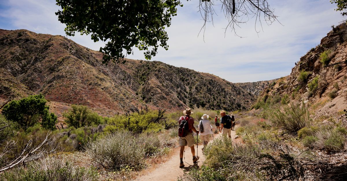 A group of hikers explores a rugged mountain trail under a sunny sky, surrounded by desert vegetation.