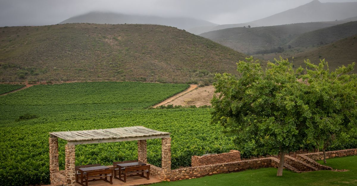 A picturesque vineyard scene with rustic wooden benches under a stone pergola, surrounded by lush green fields and hills.