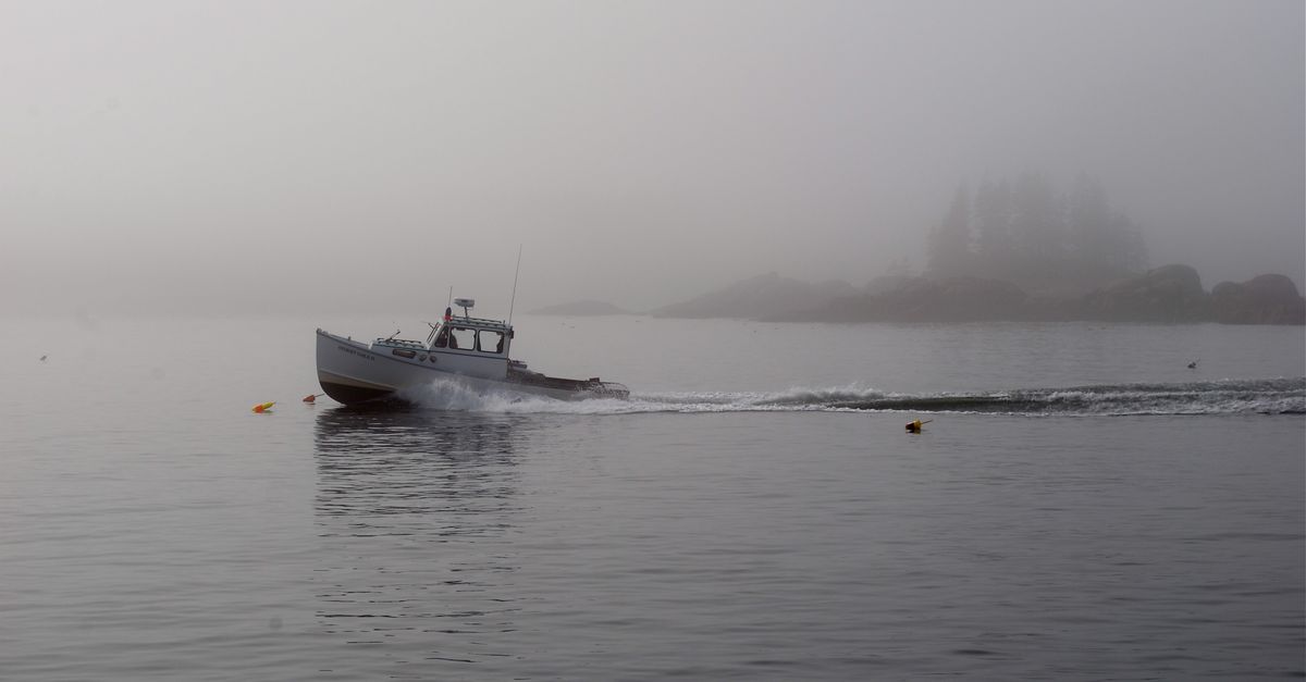 Modern motorboat floating on rippling river water on gloomy overcast weather in countryside