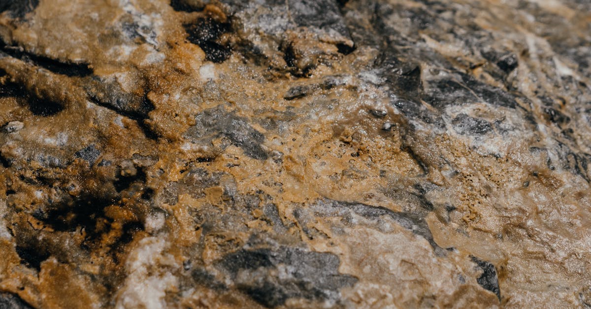 Close-up view of a textured stone surface with earthy tones, showcasing intricate natural patterns.
