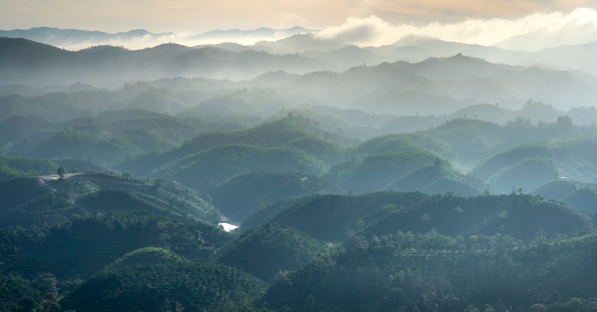 A breathtaking aerial view of rolling hills shrouded in morning mist, creating a serene landscape.