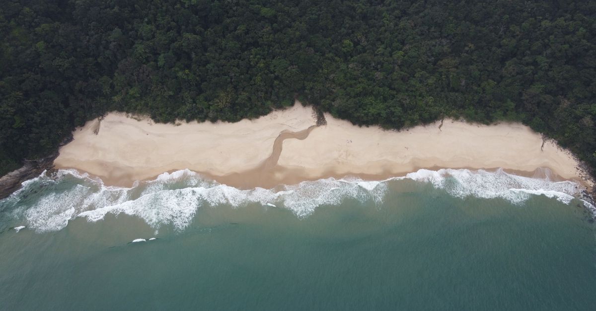 Stunning aerial shot of Praia do Bonete's sandy beach and lush forest in SP, Brazil.