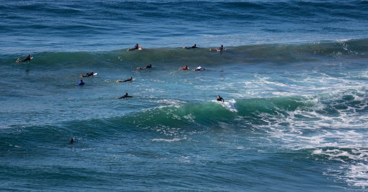 Group of surfers riding the ocean waves on a bright summer day.