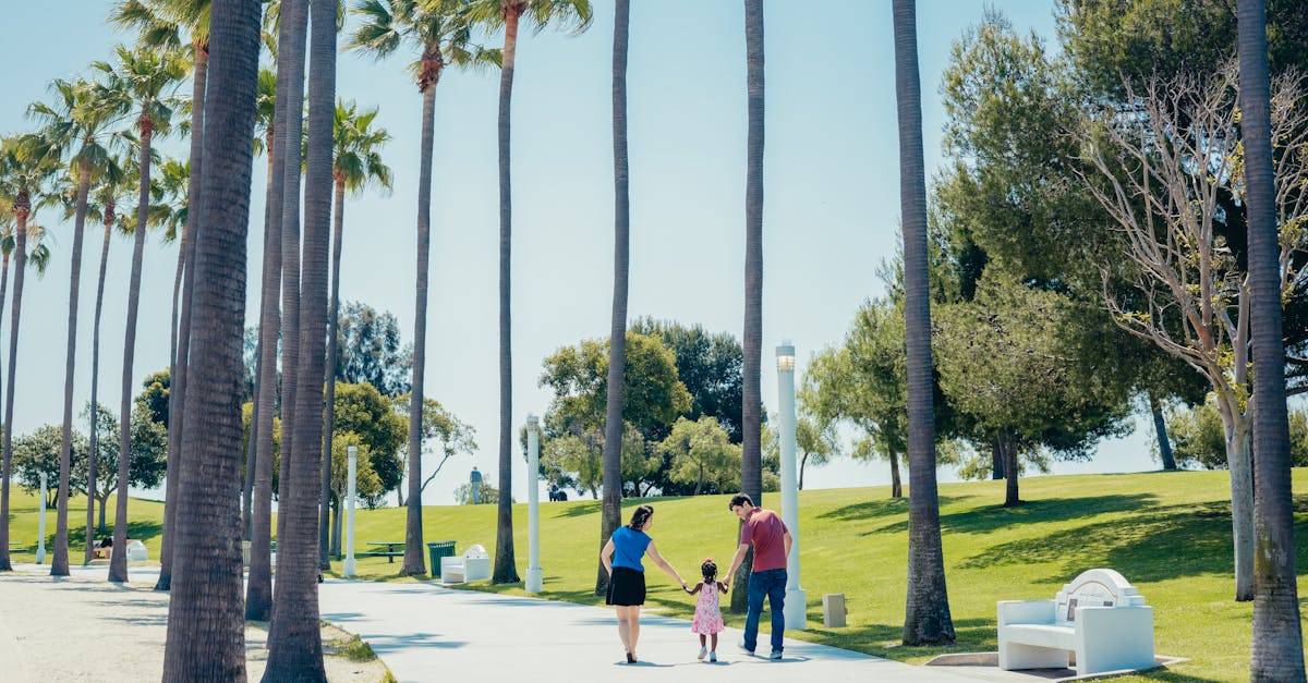 Family walking hand in hand through park with palm trees on a sunny day, enjoying quality time together.