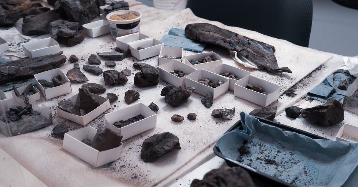 A cluttered desk showcasing various archaeological findings and ancient artifacts.