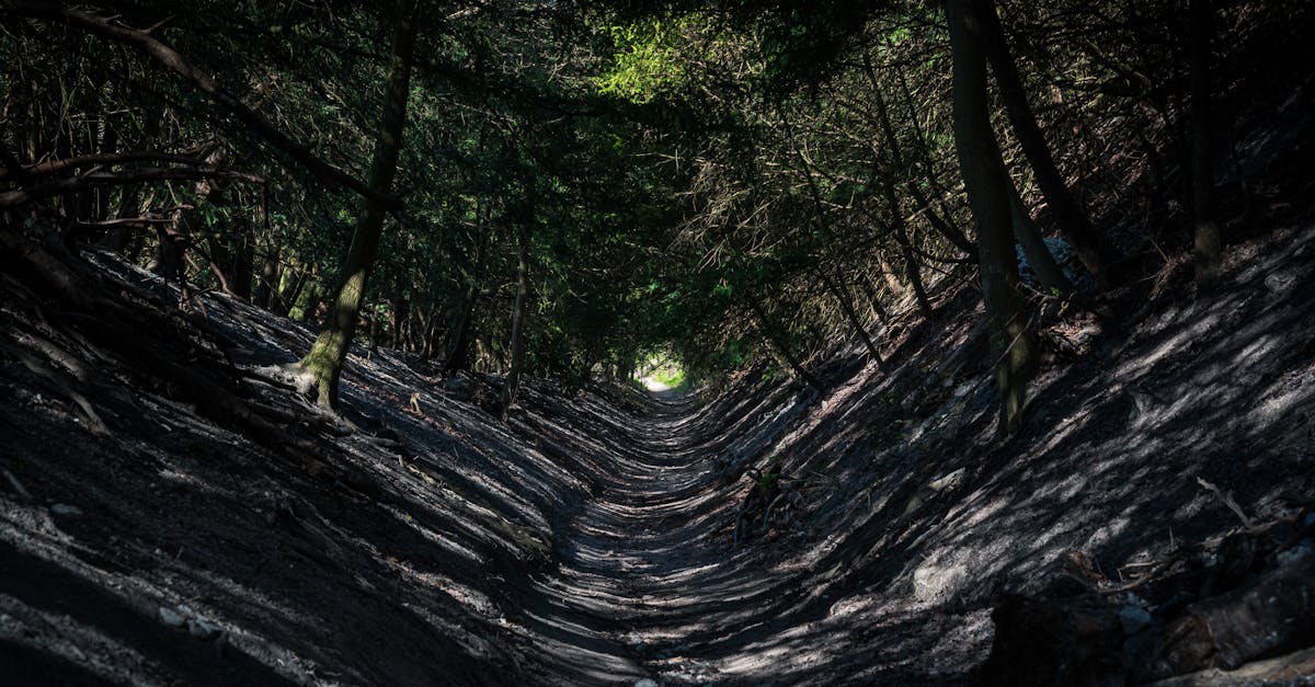 third_section_image_data.image_alt