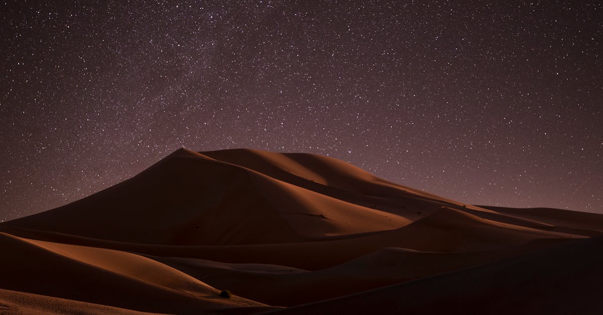 third_section_image_data.image_alt